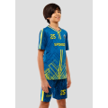 6-FUT-K29-SUBL
