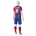 FUT-A01 рисунок 6_цвет 1  спина